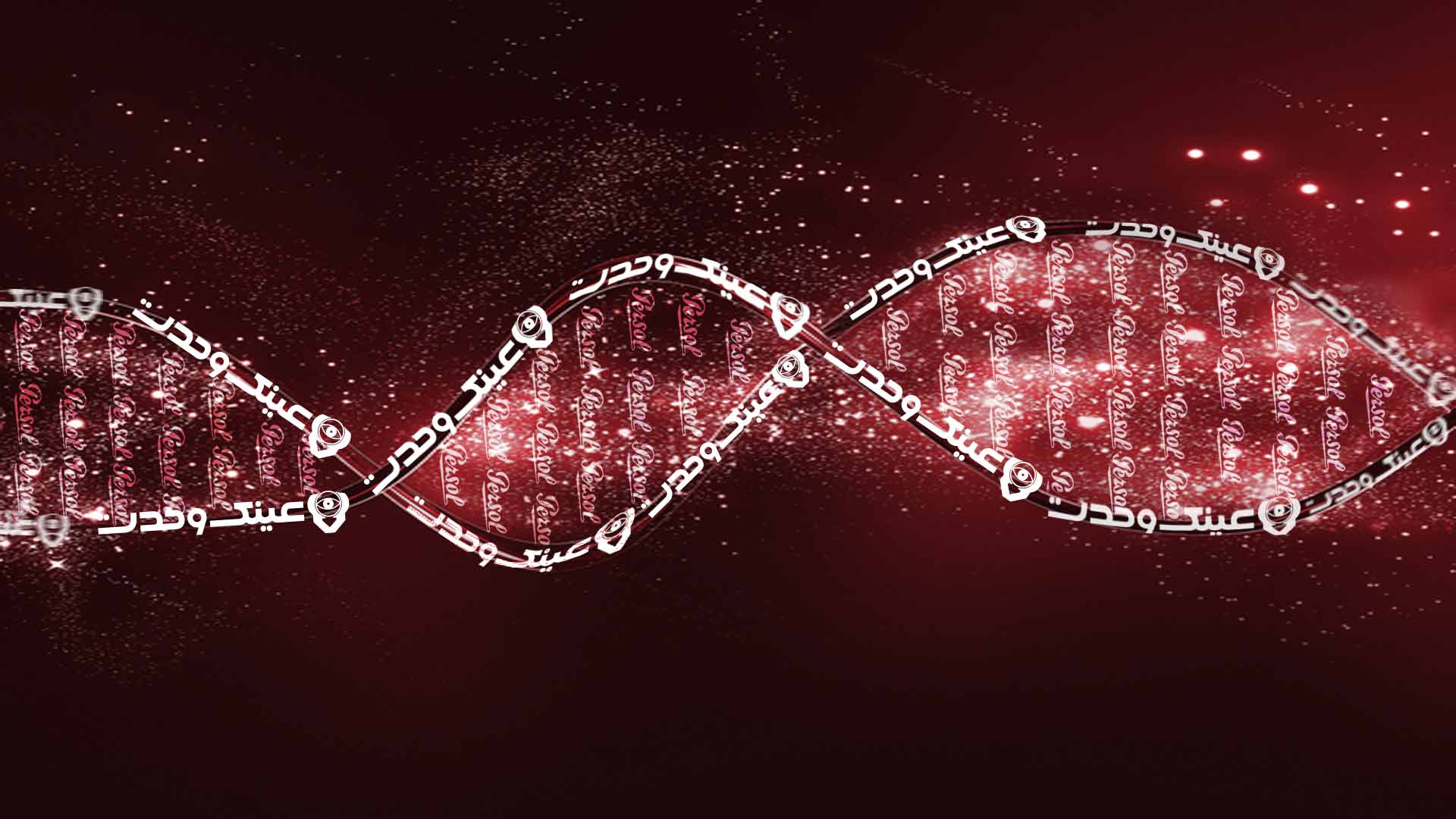 DNA عینک وحدت – قسمت اول – پرسول