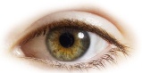 رنگ چشم عسلی