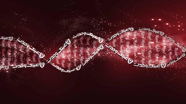 DNA عینک وحدت - برند پرسول