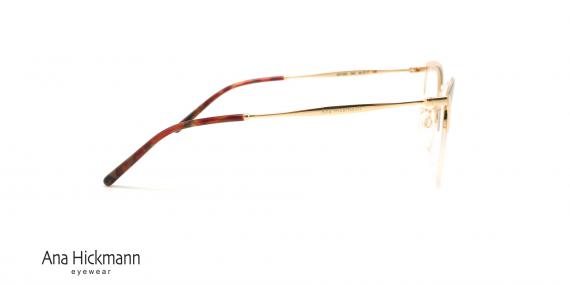 عینک طبی گربه ای آناهیکمن - ANA HICKMANN AH1352 - عکاسی وحدت - عکس زاویه کنار