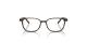 عینک طبی الیور پیپلز فریم کائوچویی مربعی قهوه ای تیره و روشن - عکس از زاویه روبرو
