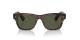عینک آفتابی الیور پیپلز فریم کائوچویی قهوه ای شفاف و تیره به همراه عدسی سبز - عکس از زاویه روبرو