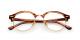 عینک طبی کلاب راند ray ban - قهوه ای روشن هاوانا - زاویه روبرو