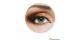 لنز طبی رنگی ایراپتیک - Contact lens Color AirOptix